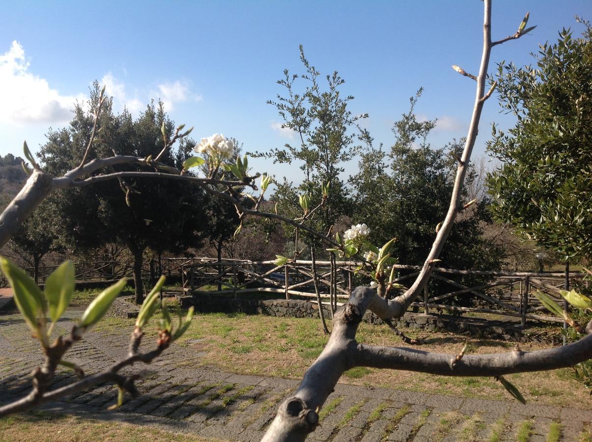 Отель Le Cisterne Dell'Etna Calcerana-Marina Экстерьер фото