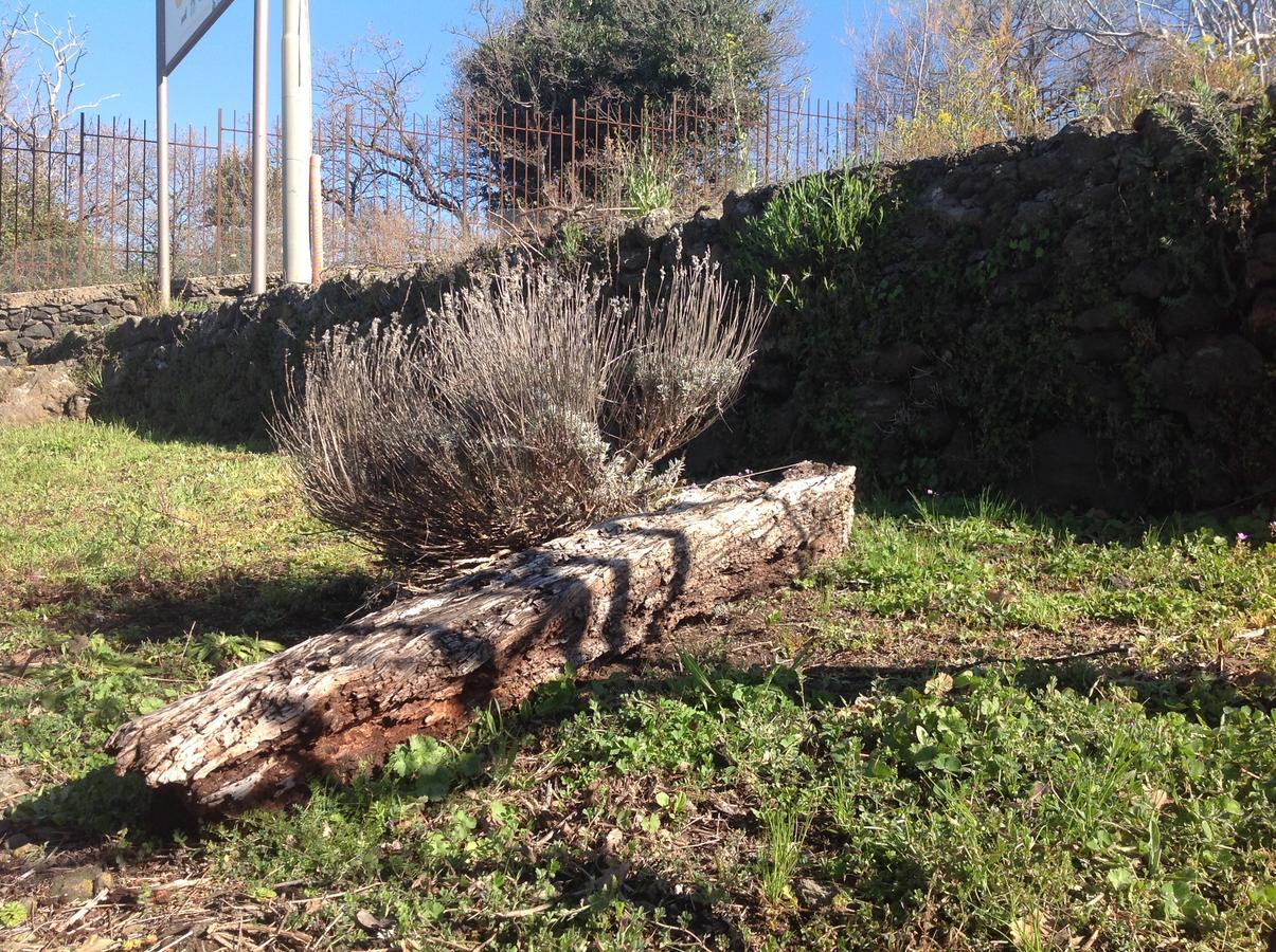 Отель Le Cisterne Dell'Etna Calcerana-Marina Экстерьер фото